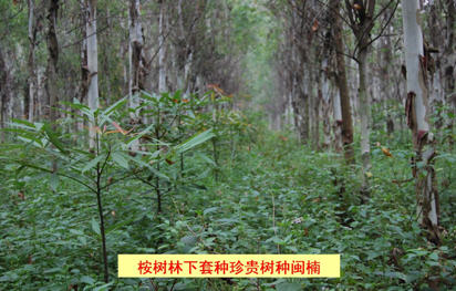 福建永安:在新的起点上再创新再突破(图)