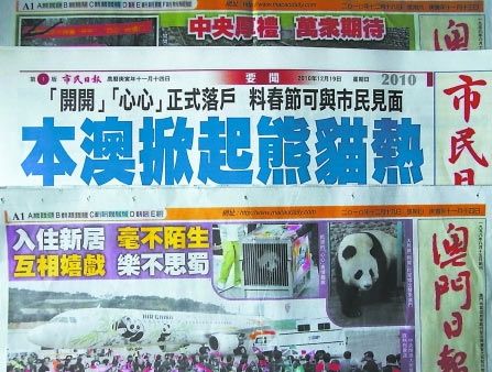 “开开心心”成明星 天天都上澳门头条(图)