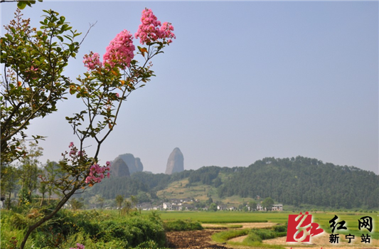 丹霞崀山:紫薇花开 人间仙境(组图)