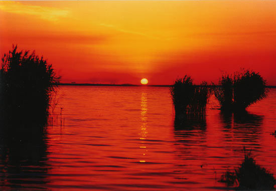 沙湖旭日 宁夏沙湖:藏在丝绸之路上最后的宝藏(组图)