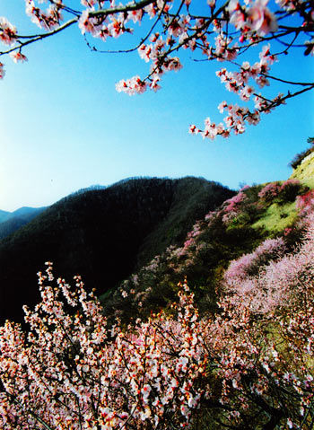 六盘山之春 六盘山森林公园——黄土高原上的绿色明珠(组图)
