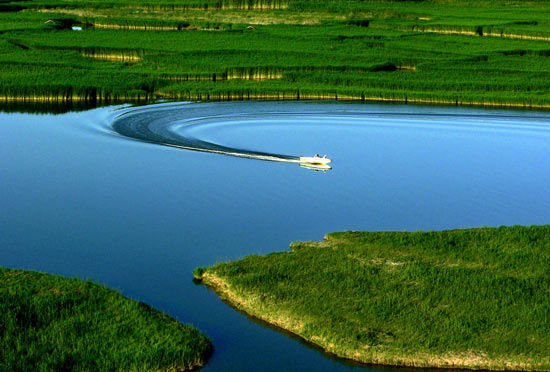 鸣翠湖国家湿地公园--芦丛摇绿 鸟啼其间(组图