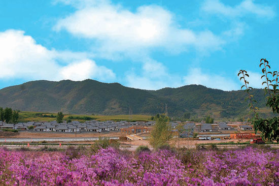 和龙市候选景区:金达莱民俗村(组图)