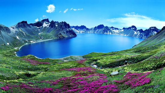 天池杜鹃 长白山候选景区(组图)