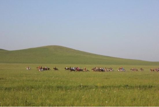 西乌旗第十三届人民那达慕大会赛马现场 2012年中国草原大赛马远程赛在西乌旗举办