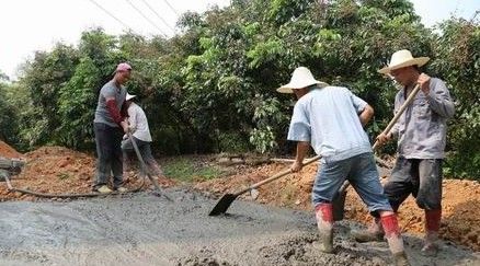 柳州城中区为8月中旬“环江龙眼节”修路