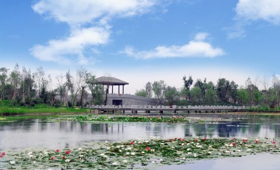 云水逐梦飞:聚焦长东北城市生态湿地公园