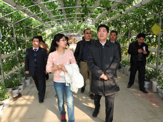 党委书记瞿振元、副校长李召虎前往昌平区草莓博览园 瞿振元、李召虎考察“首届北京农业嘉年华”