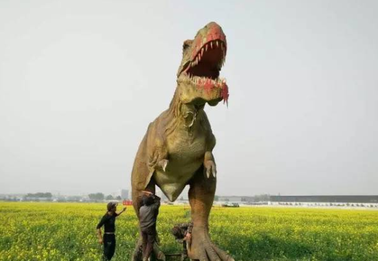 北京南城最大的千亩油菜花海 4月震撼来袭 北京南城最大的千亩油菜花海 4月震撼来袭