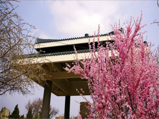 呼和浩特植物园 呼和浩特植物园简介