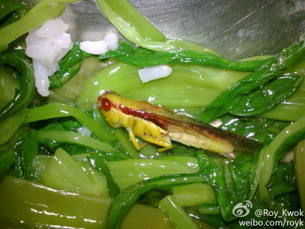 ����“Roy_Kwok(΢��)”��΢�����ٱ��㹤���óԳ��ȳ档