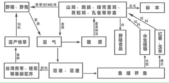 感受招宝农庄生态效益_产经_产业新闻