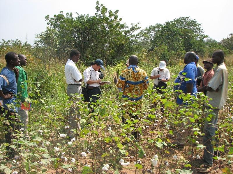 援中非高级农业咨询专家组深入非洲腹地考察