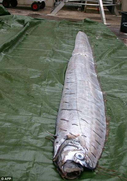 ��亣������3.4�׳����ʹ�������