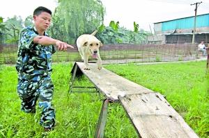 ������ѧ�ð����³�������