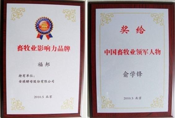 畜牧行业大奖揭晓安琪荣膺两项殊荣
