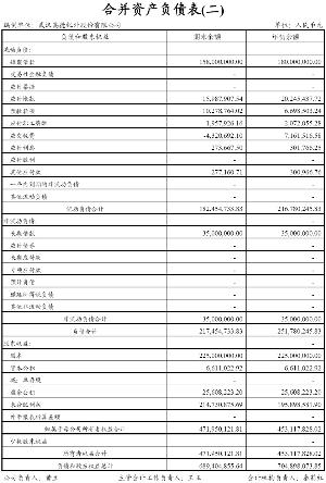 武汉高德红外股份有限公司首次公开发行股票上