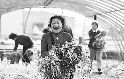 ���򻯽Ų�Ե���ߵ�������