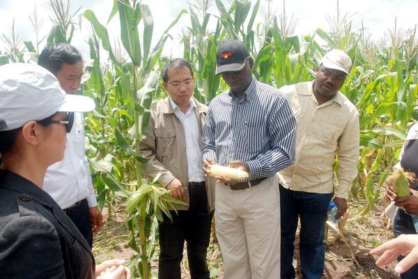 中信建设安哥拉农业开发项目获当地政府好评_