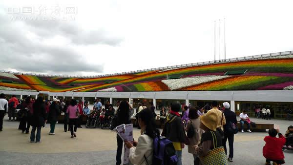 台北花博会+好一个花花世界