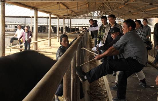 陇川县畜牧局大力支持奶牛疫病控制研究室工作