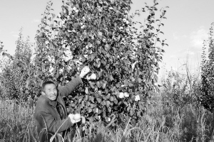 陕北农谚农民心中的天气预报_农业滚动