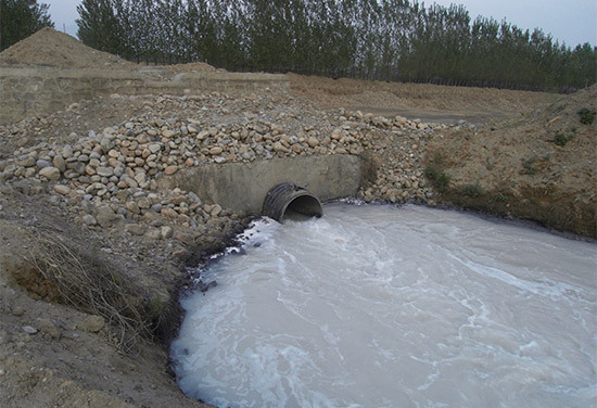 形似牛奶但又散发着恶臭的污水从排污口滚滚流出。
