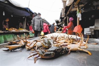 春节后物价回落 青岛海鲜跳水幅度大_保险新闻