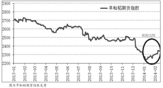 稻谷价格上半年下跌 下半年回暖|稻谷|政策|市场