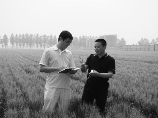 盲目注册强麦仓单风险大_期货投资_世纪金融