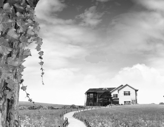 我的精神家园_期市要闻