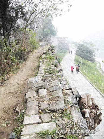 荆州古城墙损坏严重 专家称树根是城墙天敌(图)