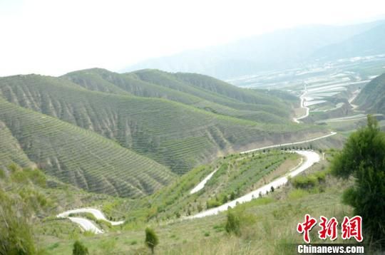 <p> 2013年,甘肃官方启动实施扶贫攻坚行动,将交通扶贫作为扶贫开发的基础保障。图为甘肃定西市境内环山而上的平坦水泥通村公路。 冯志军 摄</p> 甘肃大规模畅通偏远村道 冀解贫困“难言之隐”(图)