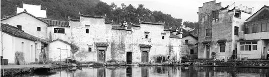 再访全国文保单位芝堰村,路上看不到家禽家畜,异常安静。 “江南丽江”古村禁犬 捕杀86条送敬老院老人吃