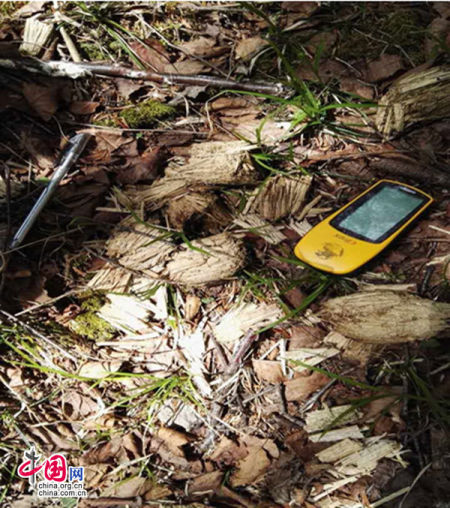 九寨沟国家级自然保护区 九寨沟生态环境改善 野生大熊猫时隔5年回归