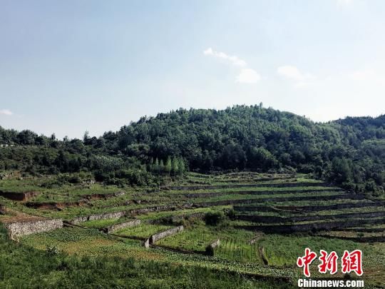贵州黔西土地生态整治后,提高了生态经济效益和社会经济持续发展能力。 贵州生态治理:以“绿色思维”建“美丽乡村”