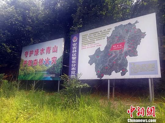 图为林区警长责任区中的标牌 浙江安吉首推“两长制”显成效 青山“安好”绿水“无恙”