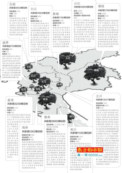 花卉种植示意图 未来三年广州将增20万棵主题花树 快看看你家附近将种哪些花