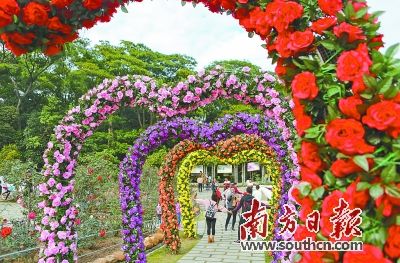 云台花园。 罗斌豪 摄 期待!2020年广州出门几百米就有公园