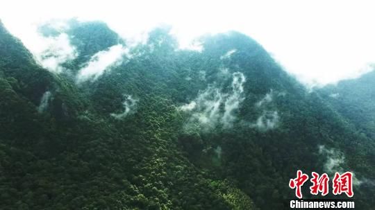 广东阴那山森林公园位于梅州市大埔县境内 程景伟 摄 广东的国家级森林公园增加到26个