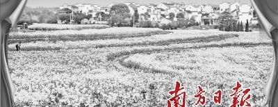 江苏的桠溪是中国首个“国际慢城”,其“生态之旅”线路穿梭于六个行政村之间,早园竹、红枫、葡萄、茶园、花卉等种植园散布沿途。图为桠溪镇春色。 江春景 摄 江苏传统农业如何变身“香饽饽”?