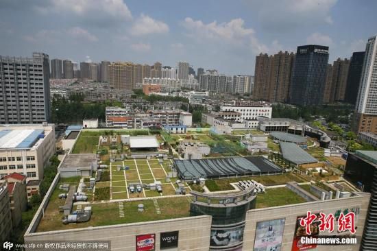 资料图:安徽省合肥市某商场四楼楼顶的天空农场。图片来源:CFP视觉中国 安徽改善投资营商环境 杜绝“前官不理后事”