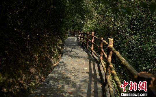 图为米仓山古栈道。 刘忠俊 摄 探访米仓山古栈道 寻古蜀遗风