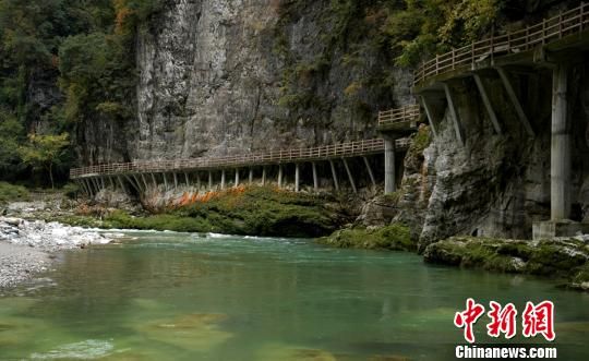 图为米仓山古栈道。 刘忠俊 摄 探访米仓山古栈道 寻古蜀遗风