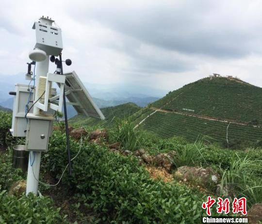 福建省安溪国心智慧园外景。 刘文标 摄 福建“农七条”加快推进“数字农业”发展
