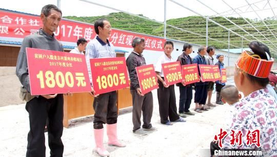 施秉县贫困农户分红。 奉力 摄 世界自然遗产地施秉2018拟完成国标“减贫摘帽”任务