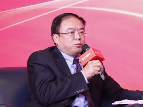 图文:国务院研究室工业交通贸易司副司长张泰