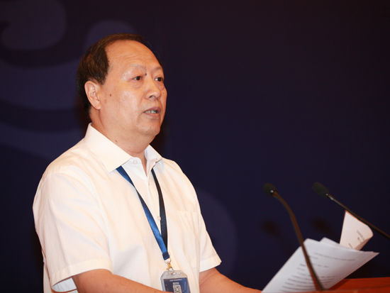图文:中国轻工业联合会副会长王世成|轻工企业