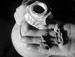陕西男子陶罐中发现2000年前蝙蝠干尸