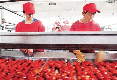 中粮打造从田间到餐桌全产业链_农业滚动